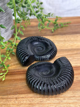 Load image into Gallery viewer, Black Obsidian Ammonite Carvings
