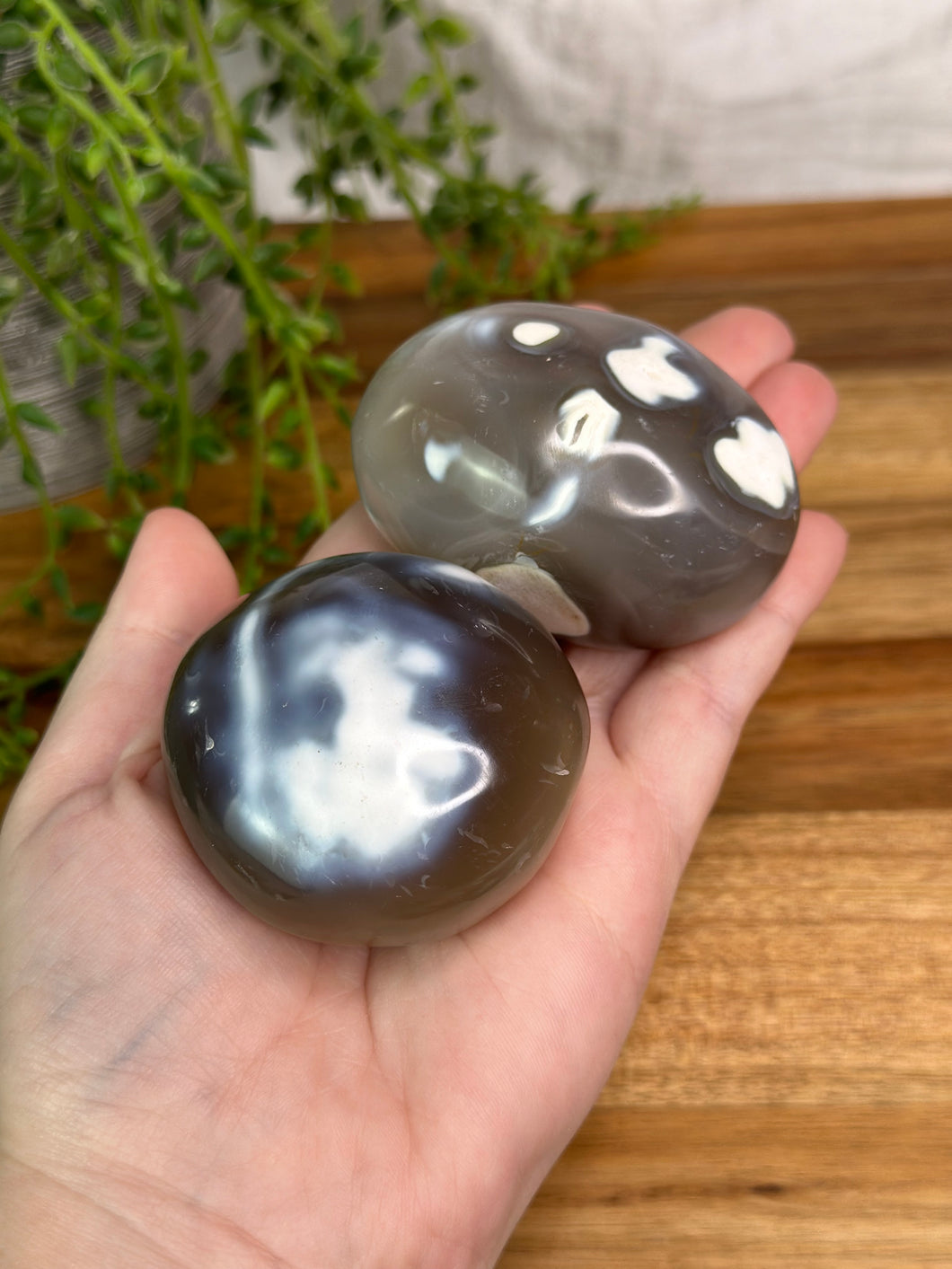 Orca Agate Palmstones