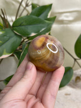 Load image into Gallery viewer, Polychrome Jasper Palmstone #23
