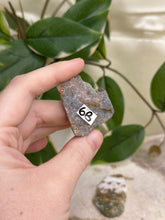 Load image into Gallery viewer, Ocean Jasper Half Polished Slices #6
