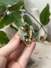 Load image into Gallery viewer, Iridescent Pyrite On Quartz Specimen #15B
