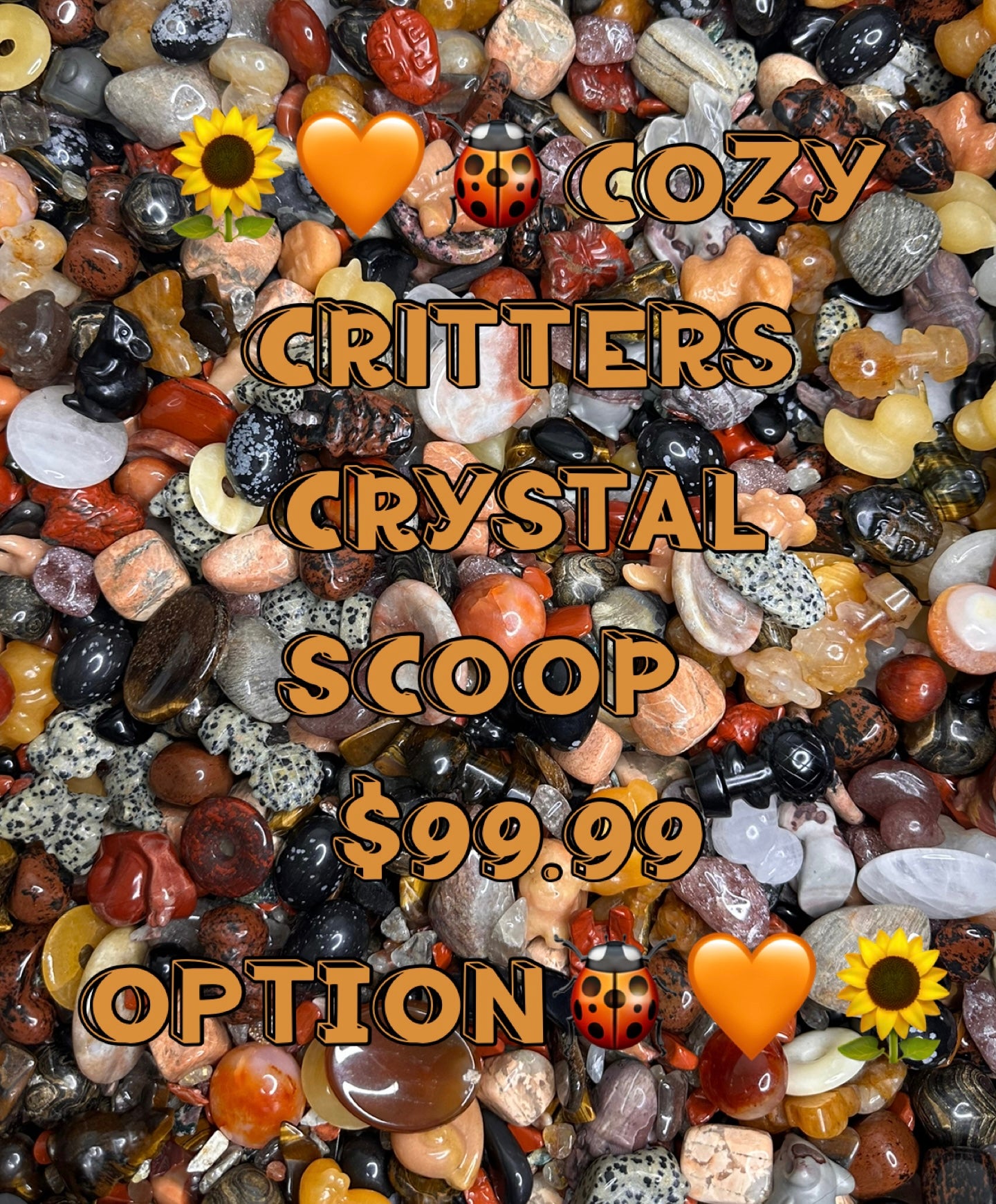 Cozy Critters Crystal Scoop ~ $99.99 OPTION!!