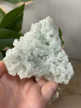 Load image into Gallery viewer, Crystal Green Apophyllite~Crystallised Sugary Prehnite Specimens #94
