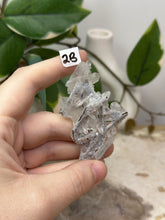 Load image into Gallery viewer, Fairy Forest Specimen 2B
