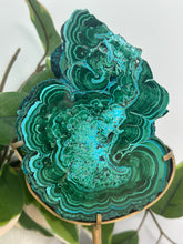 Load image into Gallery viewer, Malachite x Chrysocolla Slab On Stand
