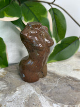 Load image into Gallery viewer, Picture Jasper Goddess Body
