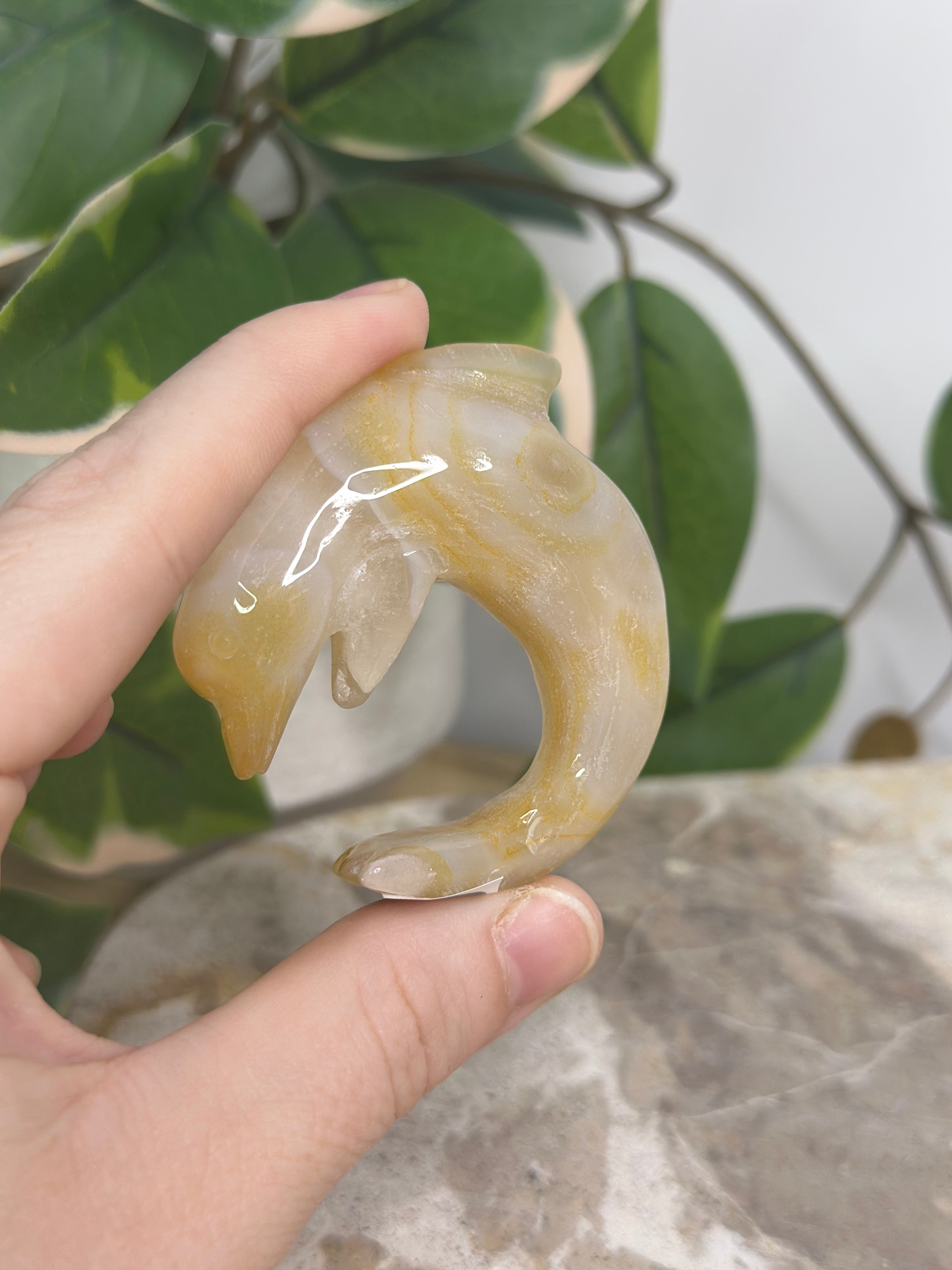 Agate Dolphin