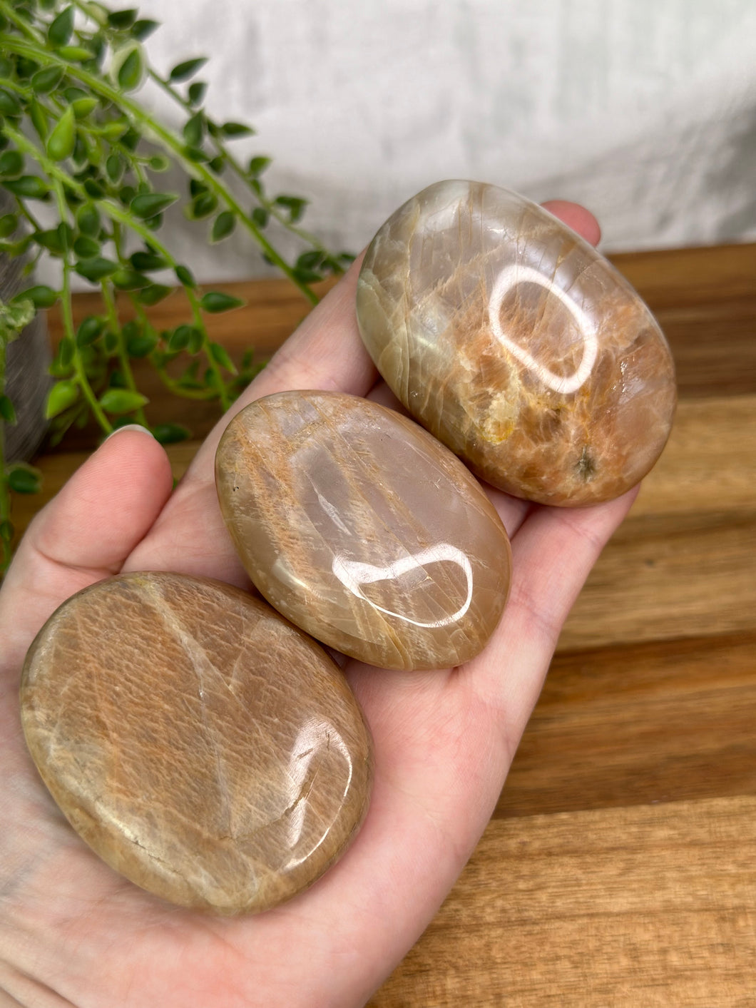 Peach Moonstone Pamstones #11