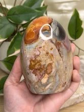 Load image into Gallery viewer, Imperfect Polychrome Jasper Freeform #160
