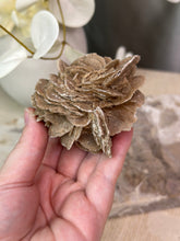 Load image into Gallery viewer, Desert Rose Specimen #14
