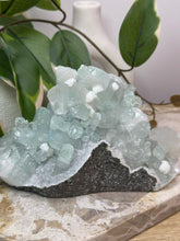 Load image into Gallery viewer, Glass Green Apophyllite + Snowballs #142

