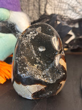 Load image into Gallery viewer, Dragon Druzy Freeform With Shards
