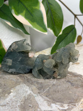 Load image into Gallery viewer, Blue Velvet Mini Clusters #60
