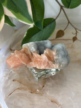 Load image into Gallery viewer, Sugary Peach Stillbite On Vibrant Blue Chalcedony Specimen #70
