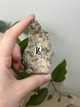 Load image into Gallery viewer, 8th Vein Ocean Jasper Raw #16
