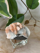 Load image into Gallery viewer, Sugary Peach Stillbite On Vibrant Blue Chalcedony Specimen #53
