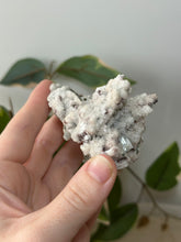 Load image into Gallery viewer, Crystallised Apophyllite~Tiny Peach Stillbite Petals~Pink/Red/Coral/Green Chalcedony Specimens #94
