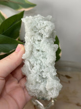 Load image into Gallery viewer, Crystal Green Apophyllite~Crystallised Sugary Prehnite Specimens #78
