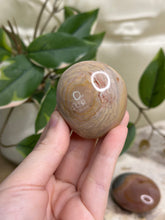 Load image into Gallery viewer, Polychrome Jasper Palmstone #25
