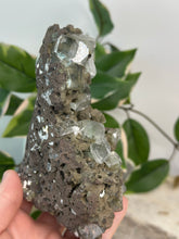 Load image into Gallery viewer, Army Green Apophyllite Cluster #161
