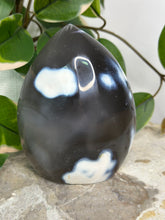 Load image into Gallery viewer, Orca Agate Freeform #78
