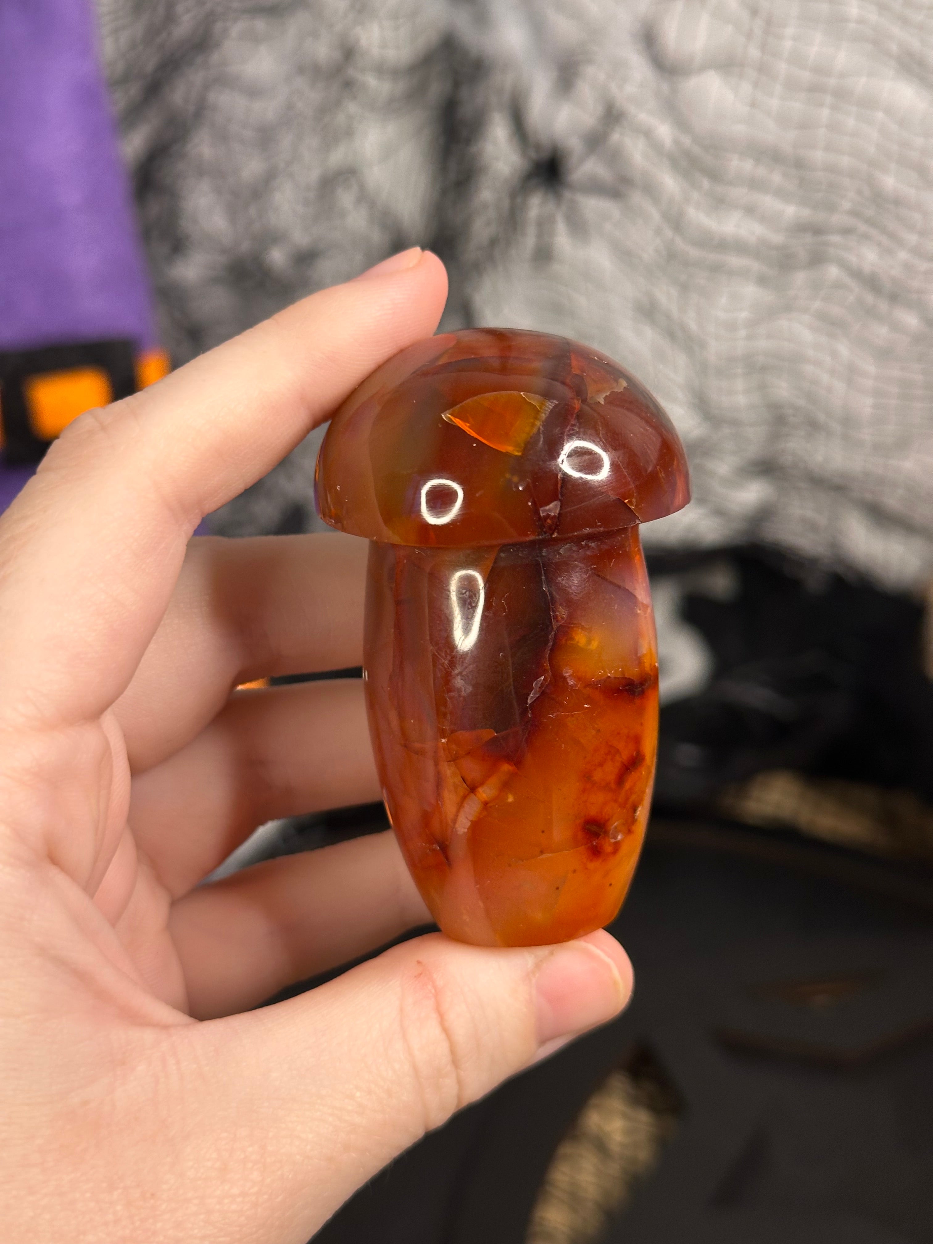Carnelian Mushroom #23