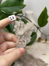 Load image into Gallery viewer, Fairy Forest Specimen 1J
