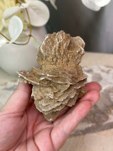 Load image into Gallery viewer, Desert Rose Specimen #16
