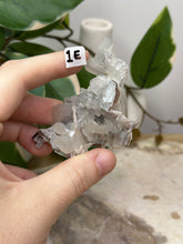Load image into Gallery viewer, Fairy Forest Specimen 1E
