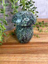 Load image into Gallery viewer, Kambaba Jasper Mushroom #30
