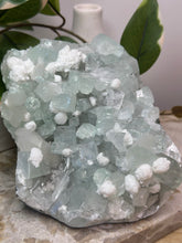 Load image into Gallery viewer, Glass Green Apophyllite + Snowballs #248
