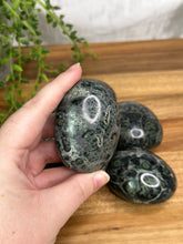 Load image into Gallery viewer, Kambaba Jasper Palmstones
