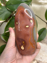 Load image into Gallery viewer, Imperfect Polychrome Jasper Freeform #134

