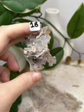 Load image into Gallery viewer, Fairy Forest Specimen 1B

