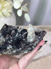 Load image into Gallery viewer, Specularite Cluster with Quartz and Natural Citrine
