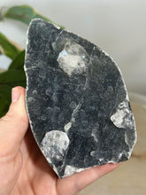 Load image into Gallery viewer, Blue~Black Chalcedony With Glass Apophyllite Cluster #142
