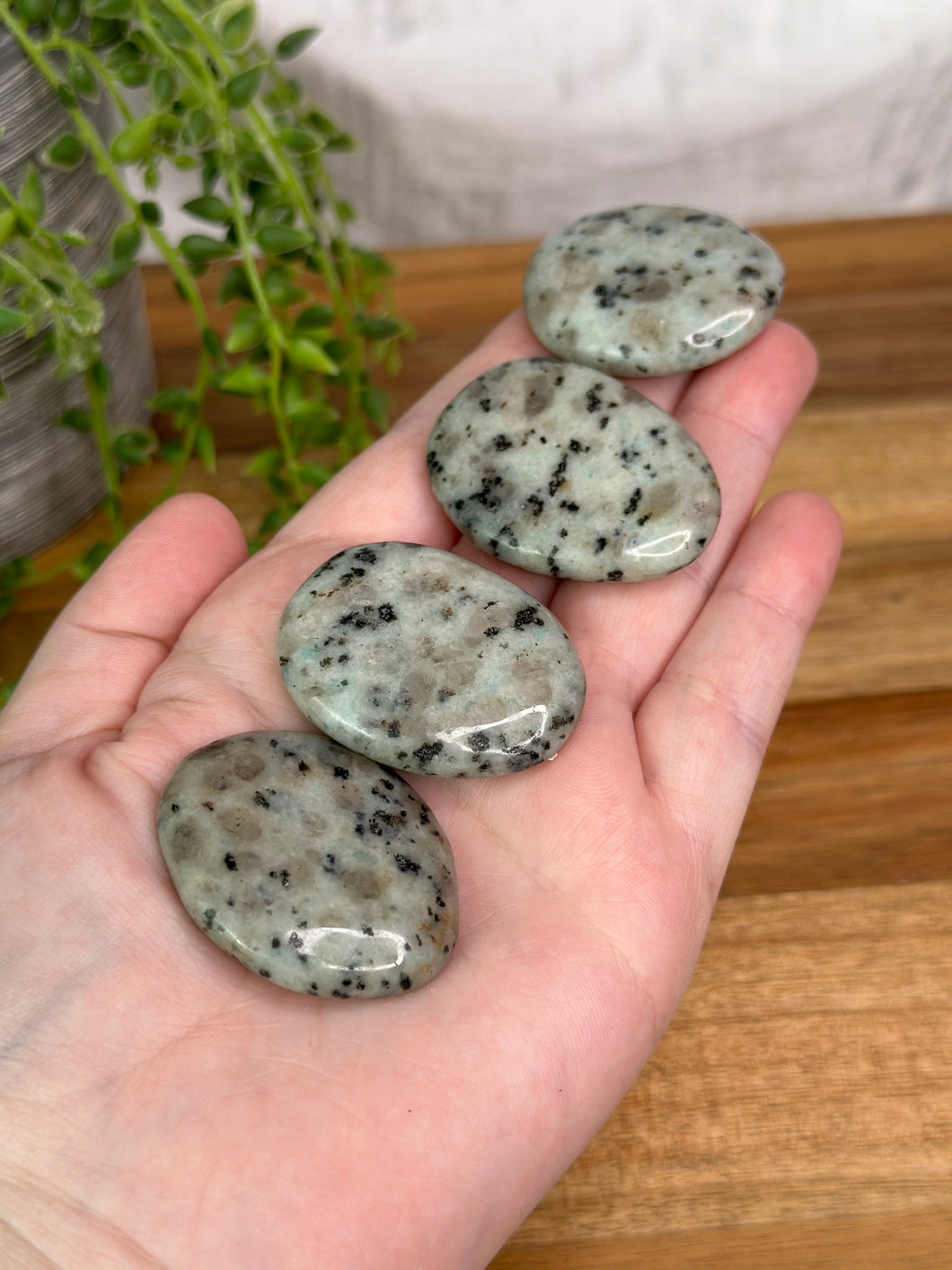 Small Kiwi Jasper Flatstones