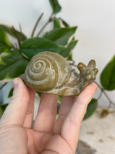 Load image into Gallery viewer, Picture Jasper Snail
