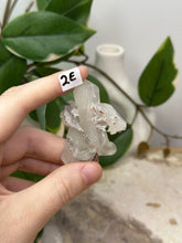 Load image into Gallery viewer, Fairy Forest Specimen 2E
