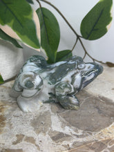 Load image into Gallery viewer, LRG Moss Agate Frog #58B

