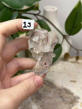Load image into Gallery viewer, Fairy Forest Specimen 1J
