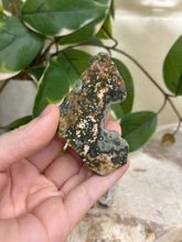 Load image into Gallery viewer, Ocean Jasper Half Polished Slice #11
