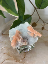 Load image into Gallery viewer, Sugary Peach Stillbite On Vibrant Blue Chalcedony Specimen #61
