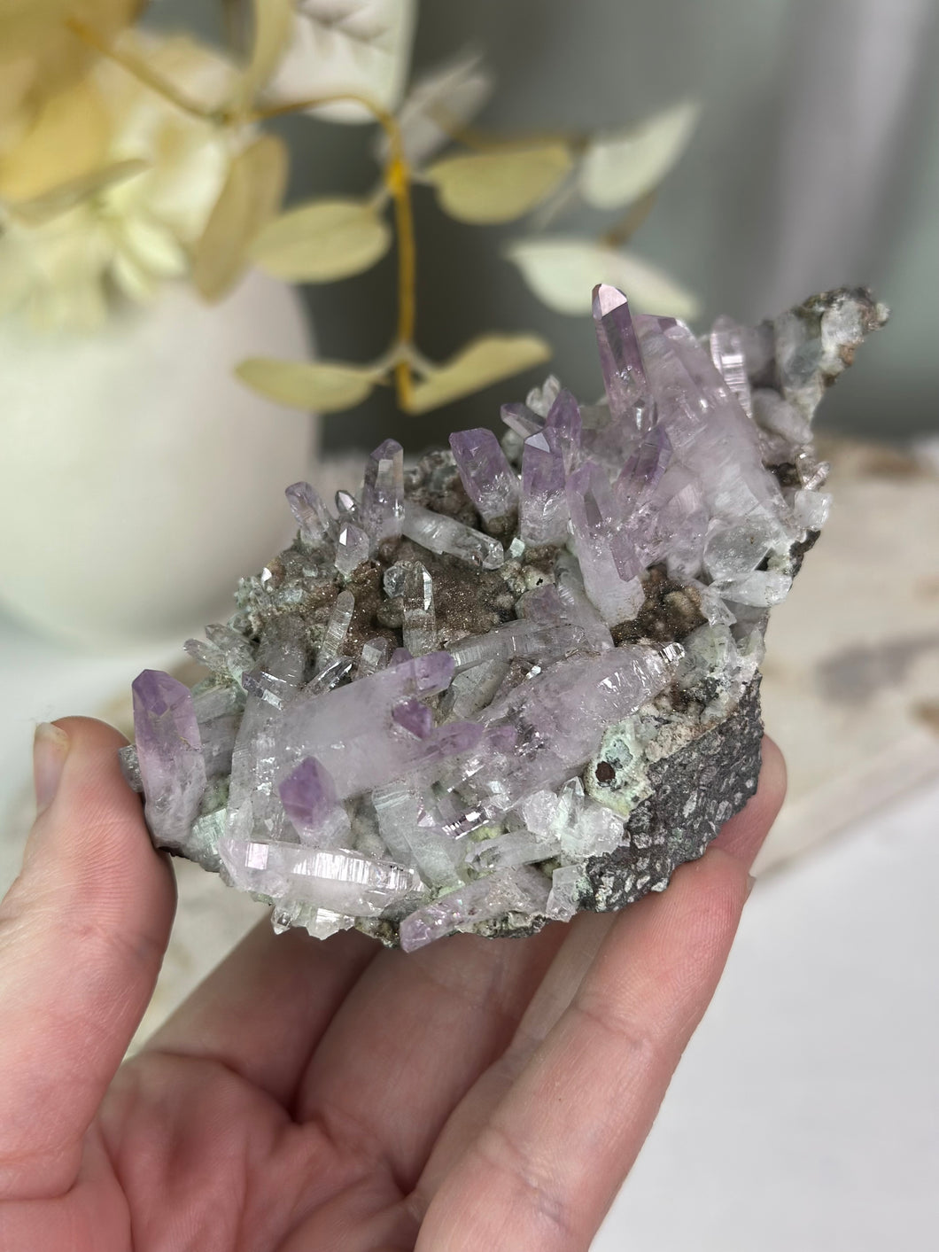 Vera Cruz Amethyst Specimen #222