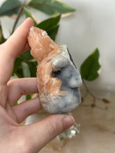 Load image into Gallery viewer, Sugary Peach Stillbite On Vibrant Blue Chalcedony Specimen #70
