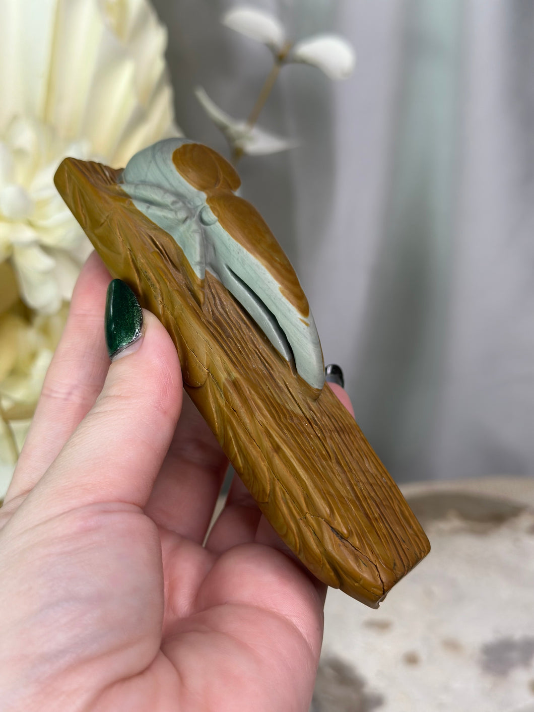 Picture Jasper Rhino Beetle On Log