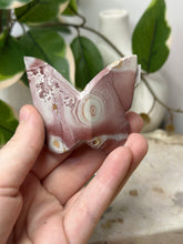 Load image into Gallery viewer, Pink Picture Jasper 3D Butterfly~ BD
