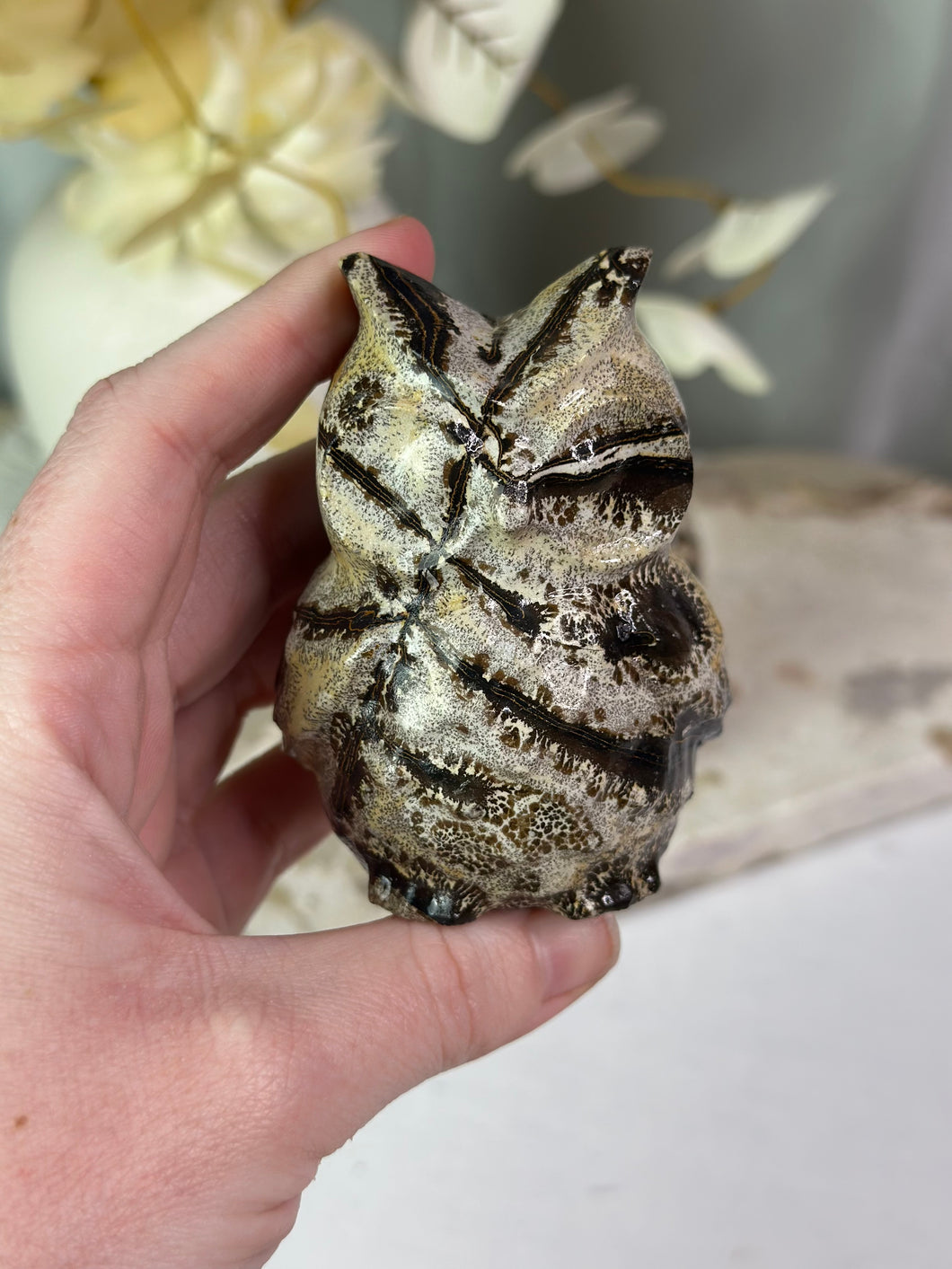 LRG Picture Jasper Owls
