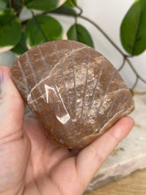 Load image into Gallery viewer, Imperfect Sunstone/Moonstone Sea Shell #40
