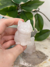 Load image into Gallery viewer, Imperfect Rose Quartz Kitties
